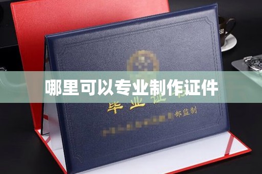 丰顺哪里可以专业制作证件