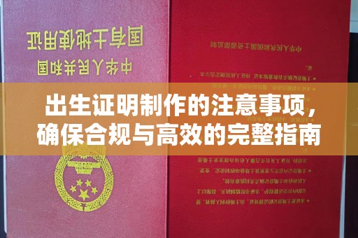 丰顺出生证明制作的注意事项，确保合规与高效的完整指南