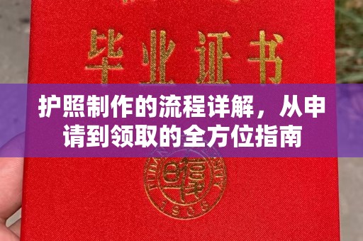 丰顺护照制作的流程详解，从申请到领取的全方位指南