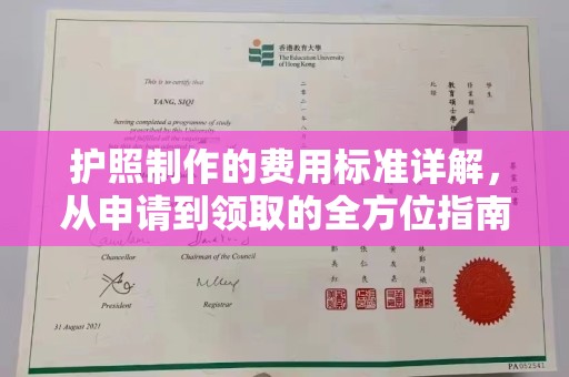 丰顺护照制作的费用标准详解，从申请到领取的全方位指南